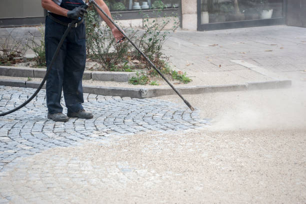 Best Sidewalk and Walkway Cleaning  in Westfield, NJ